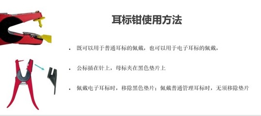 豬場信息化管理工具介紹(一)--可視耳標