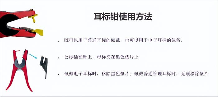 豬場信息化管理工具介紹(一)--可視耳標